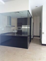 Orchard Scotts (D9), Condominium #480299191